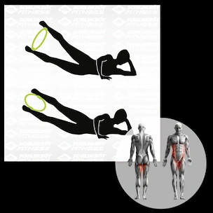 Anello pilates Schildkröt  Pilates Ring