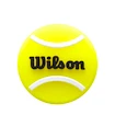Antivibrazione Wilson  Dampeners Box Roland Garros