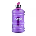 Barile d'acqua Amix Nutrition 2200 ml viola
