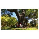 Bici senza pedali per bambini Woom 1 Classic GO 1 Classic GO Metallic Blue