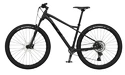Bicicletta GT  Avalanche 29 Expert