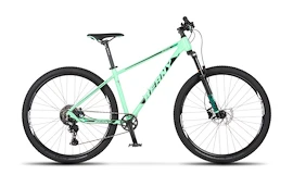 Bicicletta per bambini Beany Blaster 29 Light Green, 19"