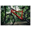 Bicicletta per bambini Woom 5 Explore Jungle Green