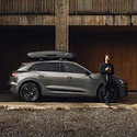 Box portapacchi Thule Motion 3 XL Low Titan