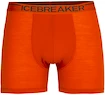 Boxer da uomo Icebreaker  Anatomica Boxers
