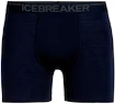 Boxer da uomo Icebreaker  Anatomica Boxers