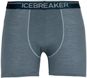 Boxer da uomo Icebreaker  Anatomica Boxers
