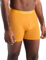 Boxer da uomo Icebreaker  Anatomica Boxers Electric/Praline