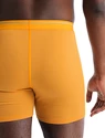 Boxer da uomo Icebreaker  Anatomica Boxers Electric/Praline