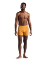 Boxer da uomo Icebreaker  Anatomica Boxers Electric/Praline