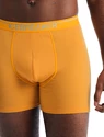 Boxer da uomo Icebreaker  Anatomica Boxers Electric/Praline