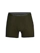 Boxer da uomo Icebreaker  Anatomica Boxers LODEN