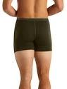 Boxer da uomo Icebreaker  Anatomica Boxers LODEN