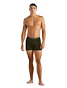Boxer da uomo Icebreaker  Anatomica Boxers LODEN