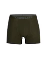 Boxer da uomo Icebreaker  Anatomica Boxers LODEN