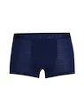 Boxer da uomo Icebreaker  M Anatomica Cool-Lite Trunks ROYAL NAVY