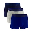 Boxer da uomo Under Armour Perf Tech Solid 3in 3Pack Royal  3XL