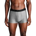 Boxer da uomo Under Armour Perf Tech Solid 3in 3Pack Steel Heather
