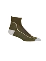 Calzini da donna Icebreaker  Hike+ Light Mini Loden/Blizzard