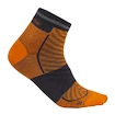 Calzini da uomo Icebreaker Merino Run+ Ultralight Mini Ray/Graphite  M