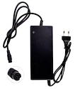 Caricabatterie per monopattino elettrico CITY BOSS  R3/V4 (36V)