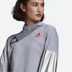 Felpa da donna adidas  Space Hoodie Halo Silver