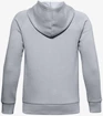 Felpa da ragazzo Under Armour  RIVAL COTTON HOODIE grey