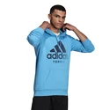 Felpa da uomo adidas  Category Graphic Hoodie Blue