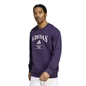 Felpa da uomo adidas  Heritage Graphic Crew Sweatshirt