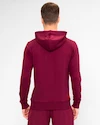 Felpa da uomo BIDI BADU  Protected Leafs Chill Hoody Bordeaux