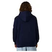 Felpa da uomo CCM  Flag Hood Team USA Navy