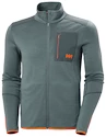 Felpa da uomo Helly Hansen  Lifa Merino Midlayer