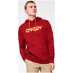 Felpa da uomo Oakley  B1B PO HOODIE 2.0