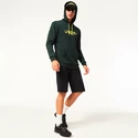 Felpa da uomo Oakley  The Post Po Hoodie