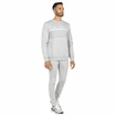 Felpa da uomo Tecnifibre  Club Sweater Silver