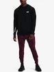 Felpa da uomo Under Armour  TERRY HOODIE-BLK