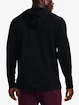 Felpa da uomo Under Armour  TERRY HOODIE-BLK