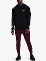 Felpa da uomo Under Armour  TERRY HOODIE-BLK