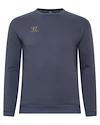 Felpa da uomo Warrior Aurum Sweater Grey