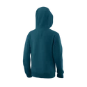 Felpa per bambini Wilson  Script Cotton Hoody Y Blue Coral