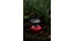 Fornello Primus  Trail Stove