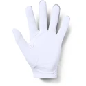 Guanti da uomo Under Armour  Medal Golf Glove grey LXL