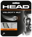 Incordatura da tennis Head  Velocity (12 m)