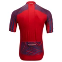 Maglia da ciclismo da uomo Silvini  Chiani