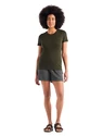 Maglietta da donna Icebreaker  Tech Lite II SS Tee Loden