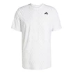 Maglietta da uomo adidas  Club Tennis Climacool Graphic T-Shirt White