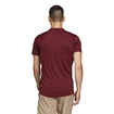 Maglietta da uomo adidas  Tennis Freelift Polo Shadow Red