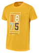 Maglietta da uomo Babolat  Exercise Vintage Tee Men Saffron Heather