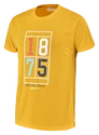 Maglietta da uomo Babolat  Exercise Vintage Tee Men Saffron Heather