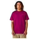 Maglietta da uomo CCM  Casual Tee Boysenberry